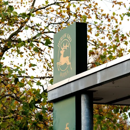 Go Мини-отель Херлев