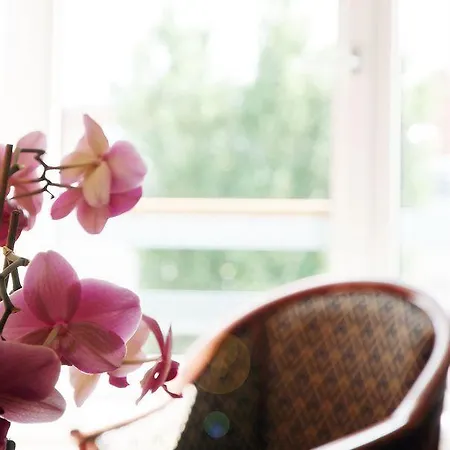 Go Мини-отель 3*